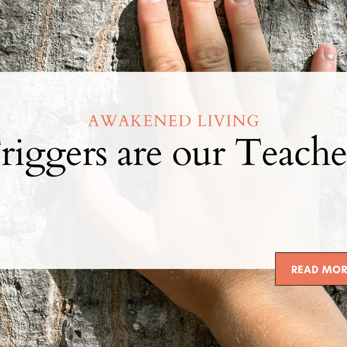 Triggers are our&nbsp;Teachers